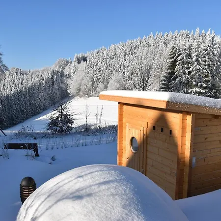 Alpesi faház Asten-chalets Winterberg