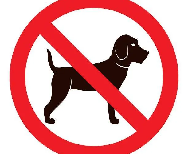 Asten-chalets Chalet *